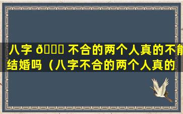 八字 🕊 不合的两个人真的不能结婚吗（八字不合的两个人真的 🌲 不能结婚吗八字不合硬结婚会怎样）